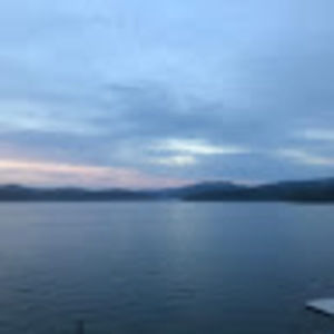 Meet your Posher, Mickey